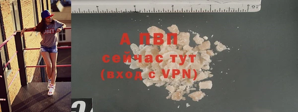 мяу мяу мука Гусев
