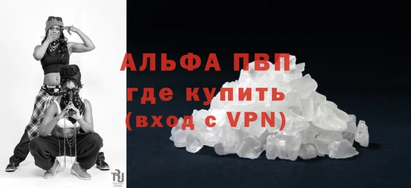мяу мяу мука Гусев